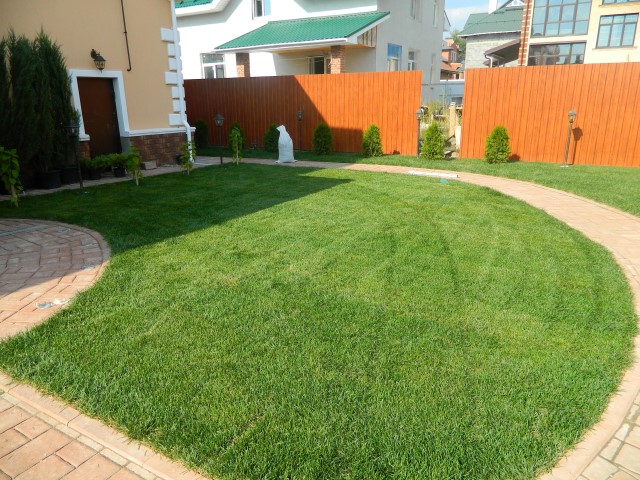 Все о газонах: типы газонов, выбор, посадка, уход